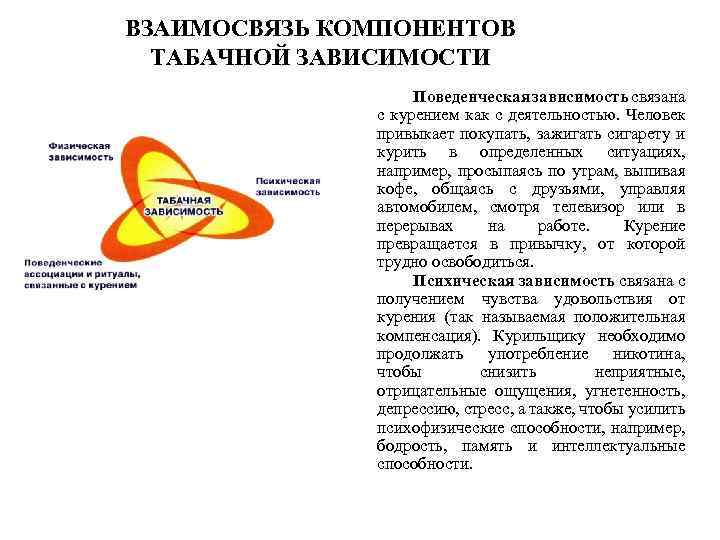 ВЗАИМОСВЯЗЬ КОМПОНЕНТОВ ТАБАЧНОЙ ЗАВИСИМОСТИ Поведенческая зависимость связана с курением как с деятельностью. Человек привыкает