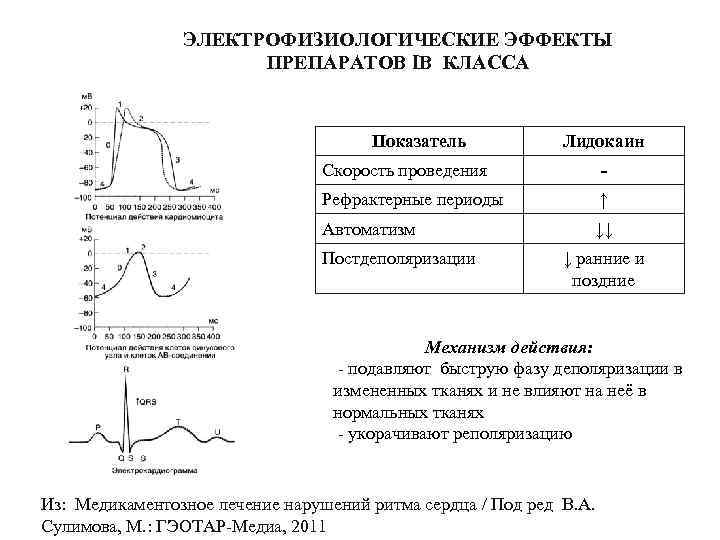 ЭЛЕКТРОФИЗИОЛОГИЧЕСКИЕ ЭФФЕКТЫ ПРЕПАРАТОВ IВ КЛАССА Показатель Лидокаин Скорость проведения - Рефрактерные периоды ↑ Автоматизм