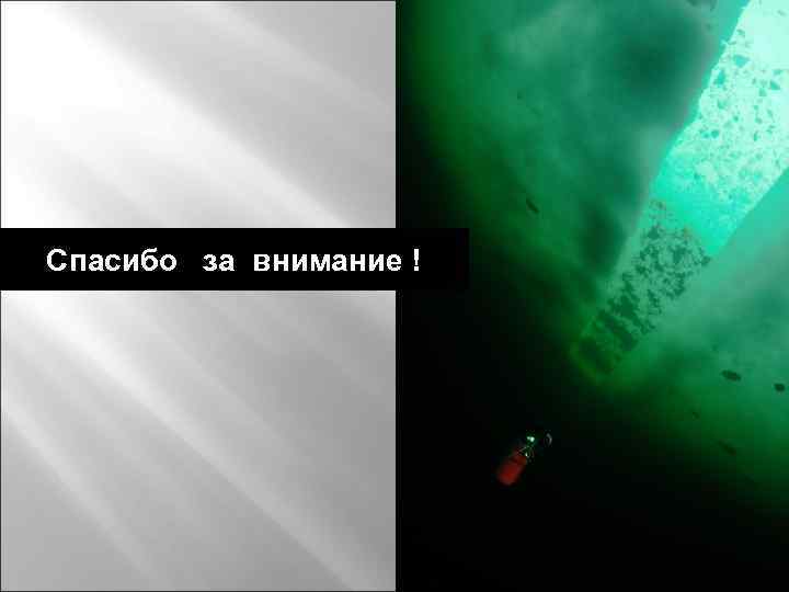 Спасибо за внимание ! 