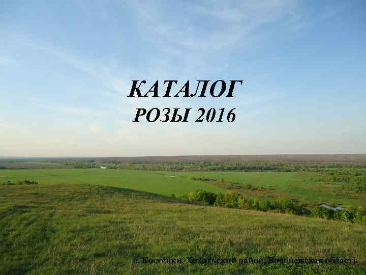 КАТАЛОГ РОЗЫ 2016 с. Костёнки, Хохольский район, Воронежская область 