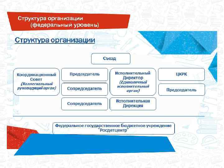 Отметь изображение на котором виден данный уровень организации