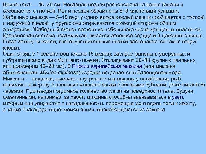 Длина тела — 45– 70 см. Непарная ноздря расположена на конце головы и сообщается