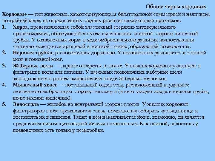 Общие черты хордовых Хордовые — тип животных, характеризующихся билатеральной симметрией и наличием, по крайней