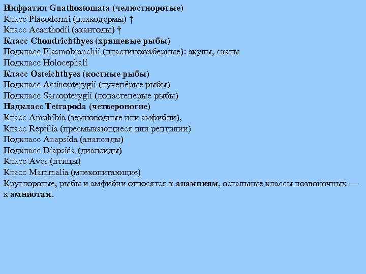 Инфратип Gnathostomata (челюстноротые) Класс Placodermi (плакодермы) † Класс Acanthodii (акантоды) † Класс Chondrichthyes (хрящевые
