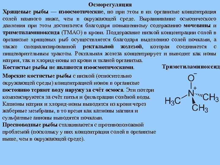 Осморегуляция Хрящевые рыбы — изоосмотические, но при этом в их организме концентрация солей намного