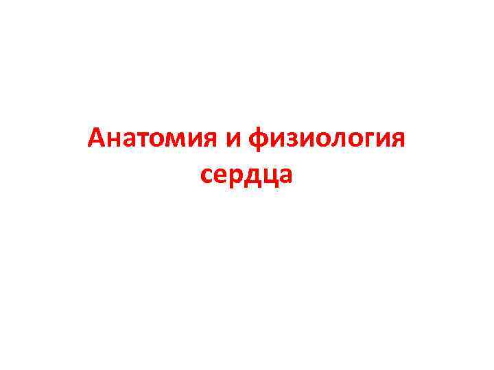 Анатомия и физиология сердца 