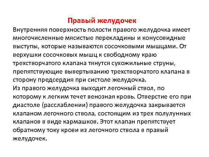 Правый желудочек Внутренняя поверхность полости правого желудочка имеет многочисленные мясистые перекладины и конусовидные выступы,