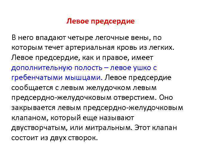 Левое предсердие В него впадают четыре легочные вены, по которым течет артериальная кровь из