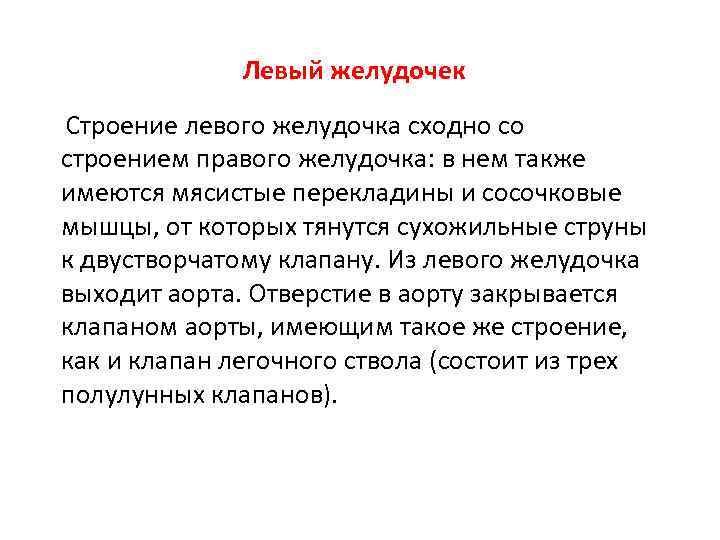 Левый желудочек Строение левого желудочка сходно со строением правого желудочка: в нем также имеются
