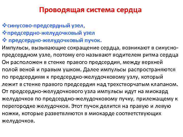 Проводящая система сердца vсинусово-предсердный узел, vпредсердно-желудочковый узел v предсердно-желудочковый пучок. Импульсы, вызывающие сокращение сердца,