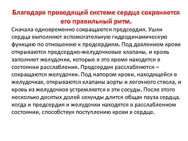 Благодаря проводящей системе сердца сохраняется его правильный ритм. Сначала одновременно сокращаются предсердия. Ушки сердца