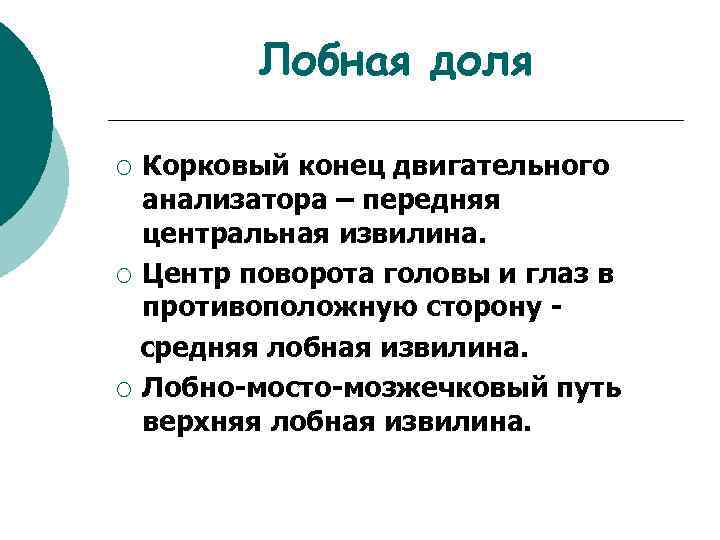 Лобная доля Корковый конец двигательного анализатора – передняя центральная извилина. ¡ Центр поворота головы