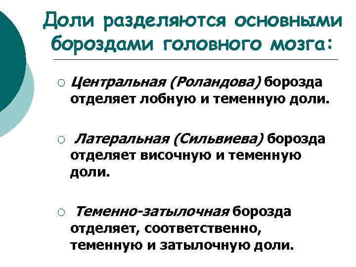 Доли разделяются основными бороздами головного мозга: ¡ Центральная (Роландова) борозда отделяет лобную и теменную