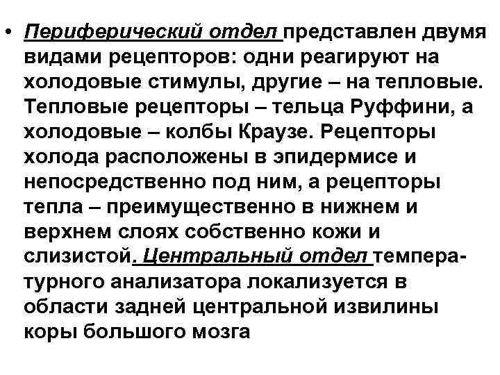  • Периферический отдел представлен двумя видами рецепторов: одни реагируют на холодовые стимулы, другие