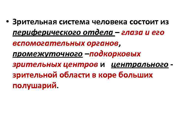  • Зрительная система человека состоит из периферического отдела – глаза и его вспомогательных