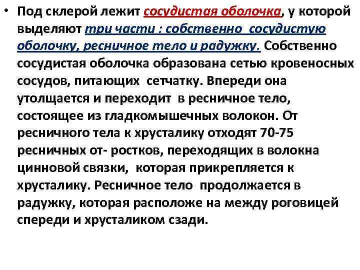  • Под склерой лежит сосудистая оболочка, у которой выделяют три части : собственно