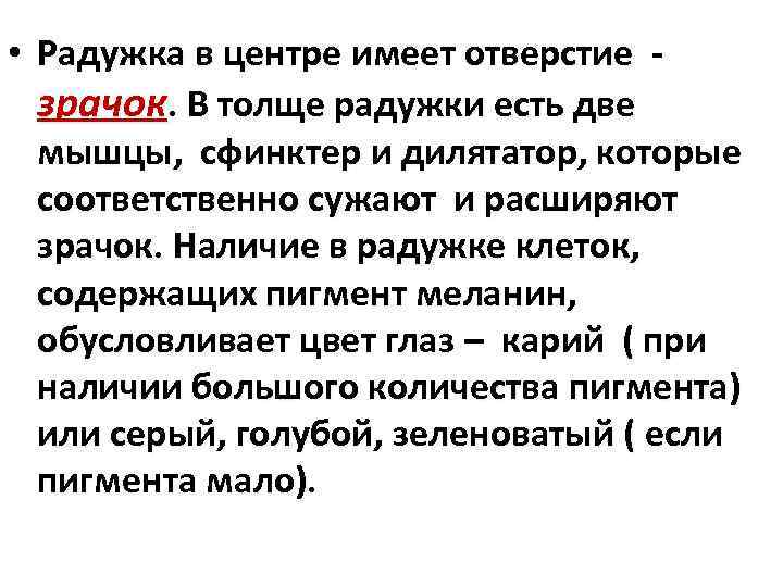  • Радужка в центре имеет отверстие - зрачок. В толще радужки есть две