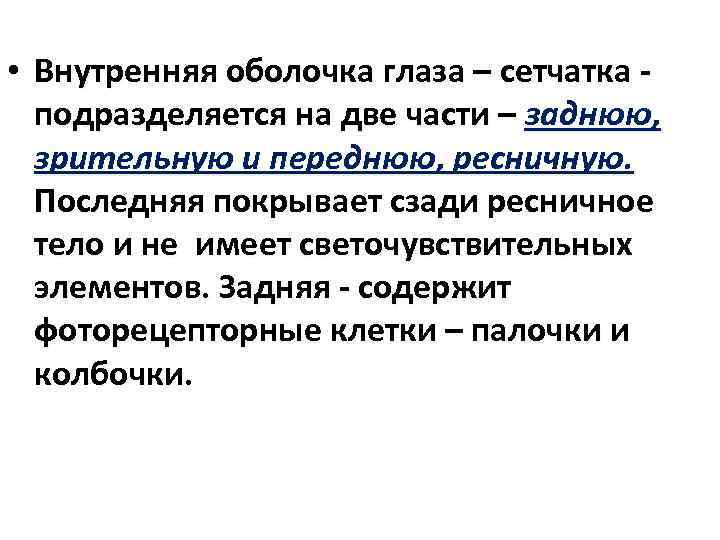  • Внутренняя оболочка глаза – сетчатка - подразделяется на две части – заднюю,