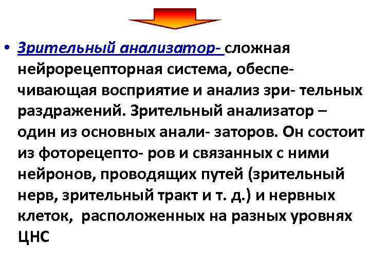  • Зрительный анализатор- сложная нейрорецепторная система, обеспе- чивающая восприятие и анализ зри- тельных