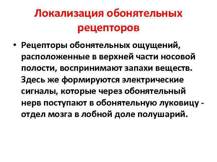 Локализация обонятельных рецепторов • Рецепторы обонятельных ощущений, расположенные в верхней части носовой полости, воспринимают