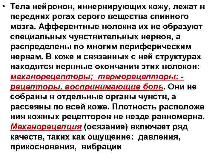  • Тела нейронов, иннервирующих кожу, лежат в передних рогах серого вещества спинного мозга.