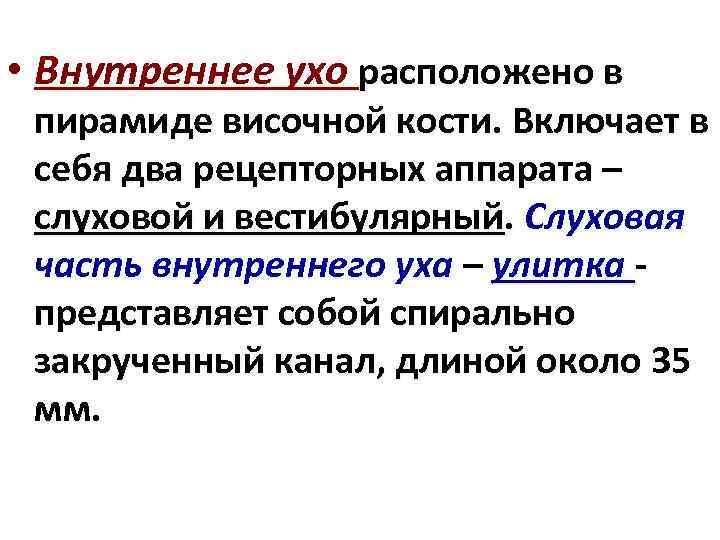  • Внутреннее ухо расположено в пирамиде височной кости. Включает в себя два рецепторных