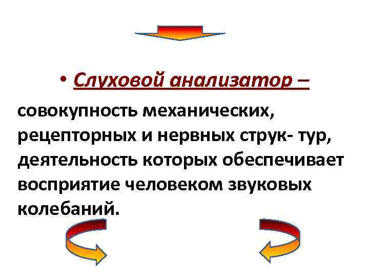  • Слуховой анализатор – совокупность механических, рецепторных и нервных струк- тур, деятельность которых