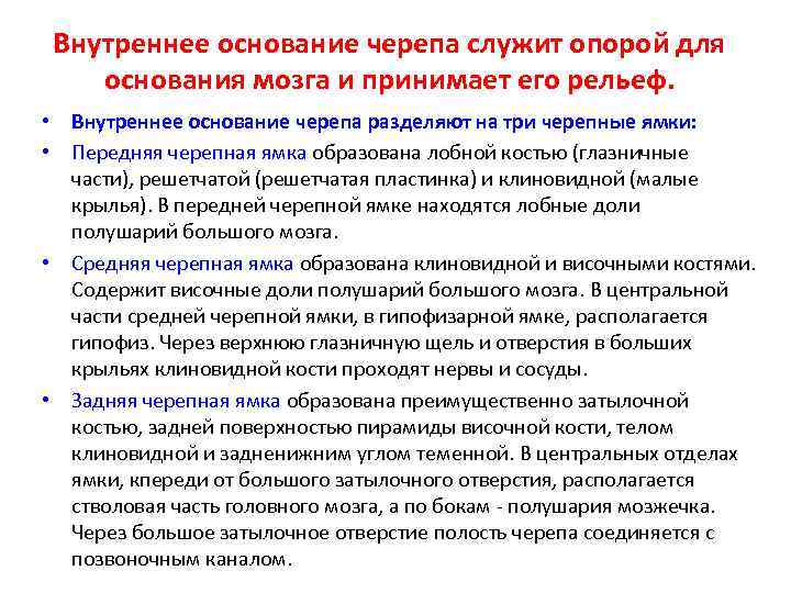 Внутреннее основание черепа служит опорой для основания мозга и принимает его рельеф. • Внутреннее