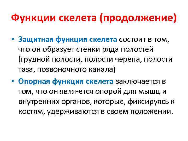 Функции скелета (продолжение) • Защитная функция скелета состоит в том, что он образует стенки