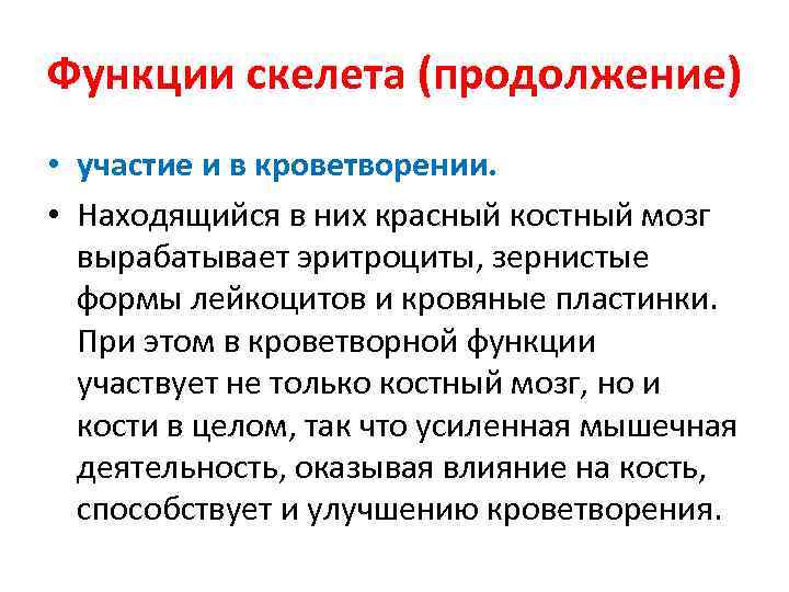 Функции скелета (продолжение) • участие и в кроветворении. • Находящийся в них красный костный