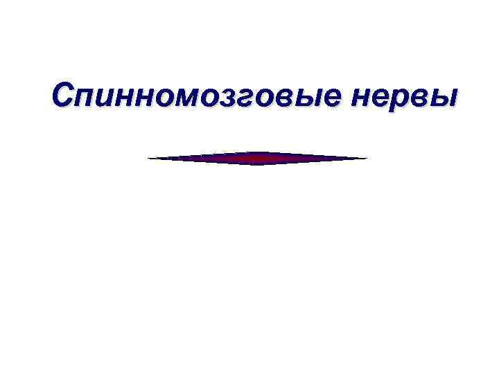 Cпинномозговые нервы 