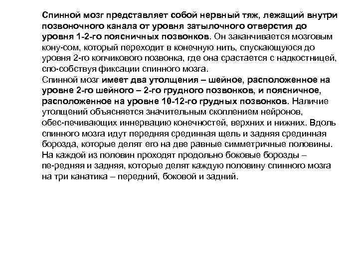 Спинной мозг представляет собой нервный тяж, лежащий внутри позвоночного канала от уровня затылочного отверстия