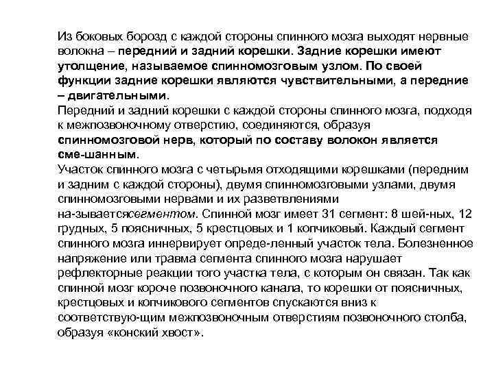 Из боковых борозд с каждой стороны спинного мозга выходят нервные волокна – передний и