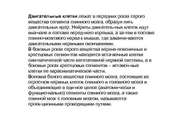 Двигательные клетки лежат в передних рогах серого вещества сегмента спинного мозга, образуя пять двигательных