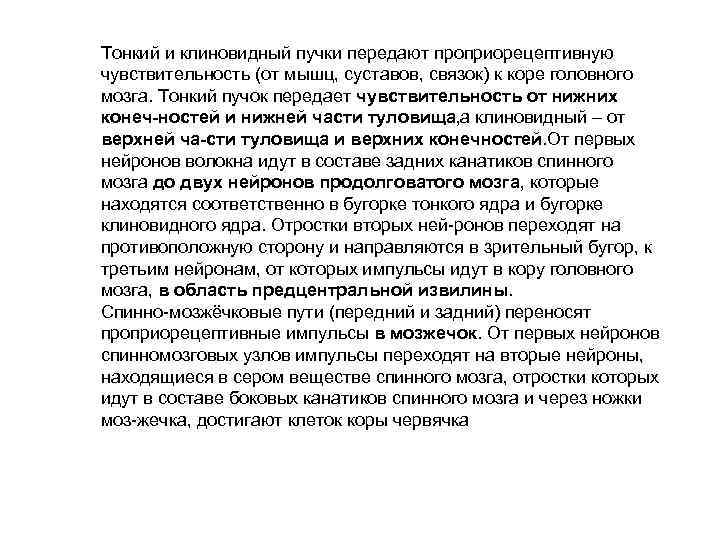 Тонкий и клиновидный пучки передают проприорецептивную чувствительность (от мышц, суставов, связок) к коре головного