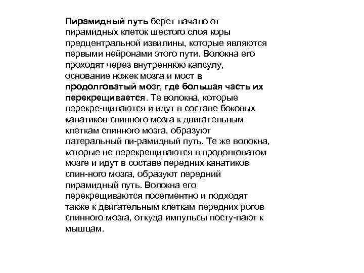 Пирамидный путь берет начало от пирамидных клеток шестого слоя коры предцентральной извилины, которые являются