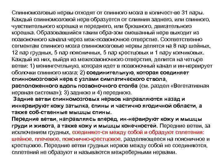 Спинномозговые нервы отходят от спинного мозга в количест ве 31 пары. Каждый спинномозговой нерв