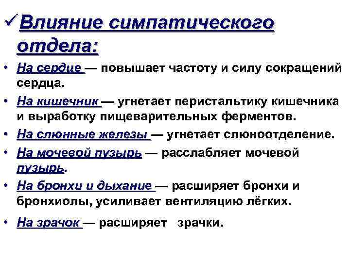 üВлияние симпатического отдела: • На сердце — повышает частоту и силу сокращений сердца. •