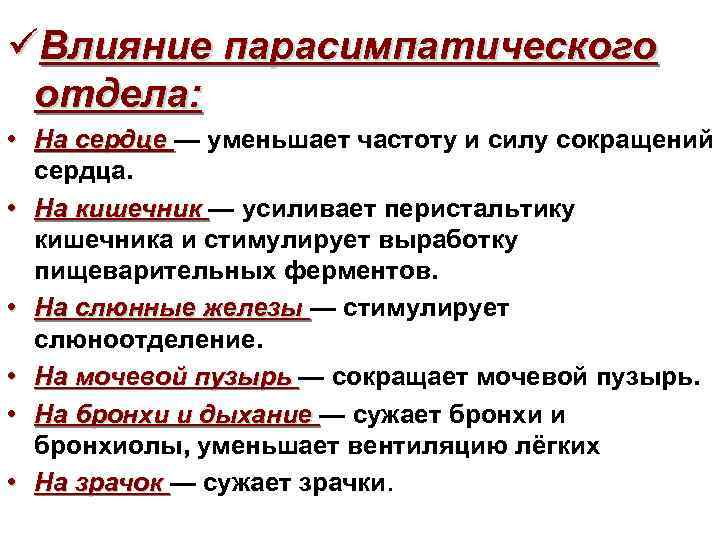 üВлияние парасимпатического отдела: • На сердце — уменьшает частоту и силу сокращений сердца. •