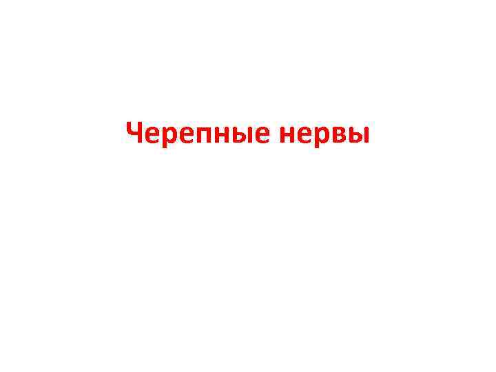 Черепные нервы 