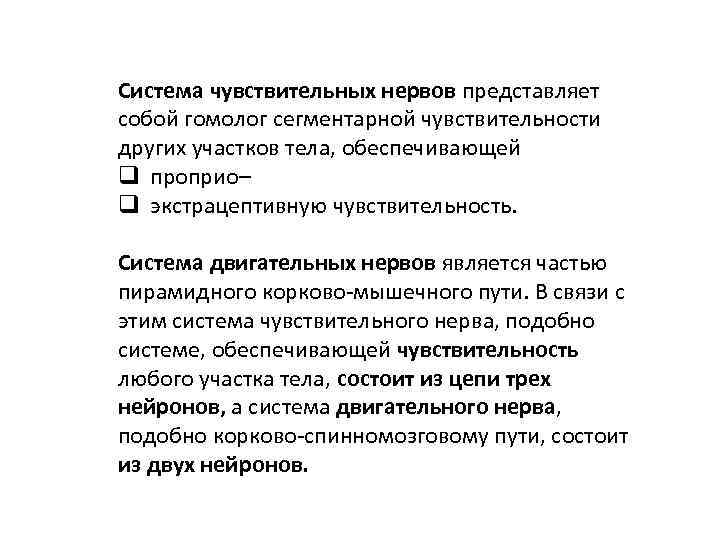 Система чувствительных нервов представляет собой гомолог сегментарной чувствительности других участков тела, обеспечивающей q проприо–