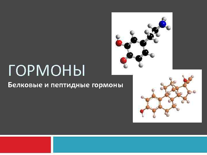 Белковый гормон человека