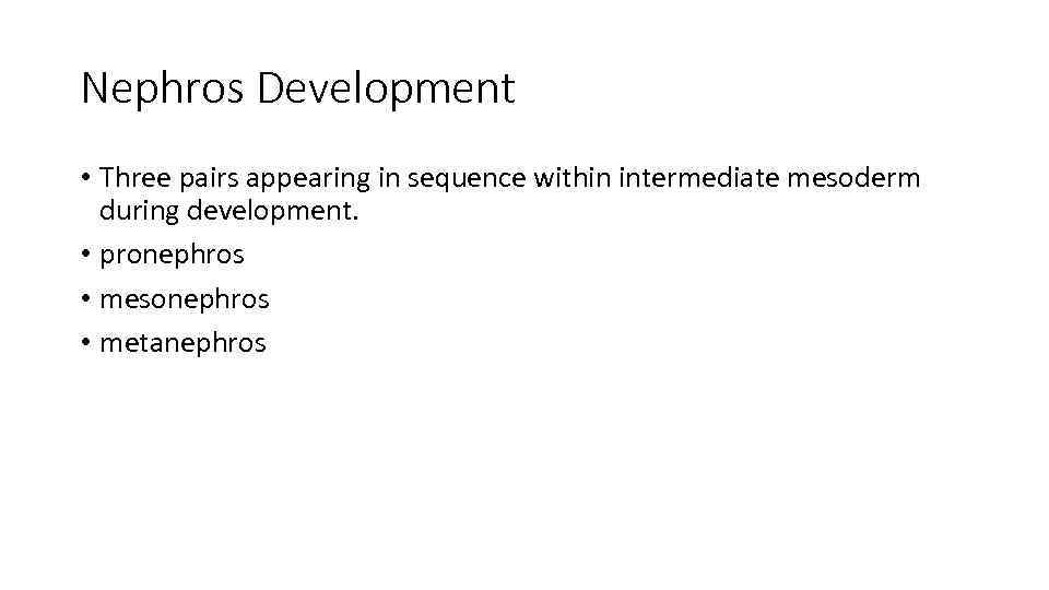 Nephros Development • Three pairs appearing in sequence within intermediate mesoderm during development. •