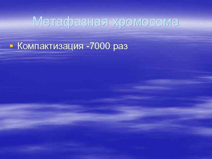 Метафазная хромосома § Компактизация -7000 раз 