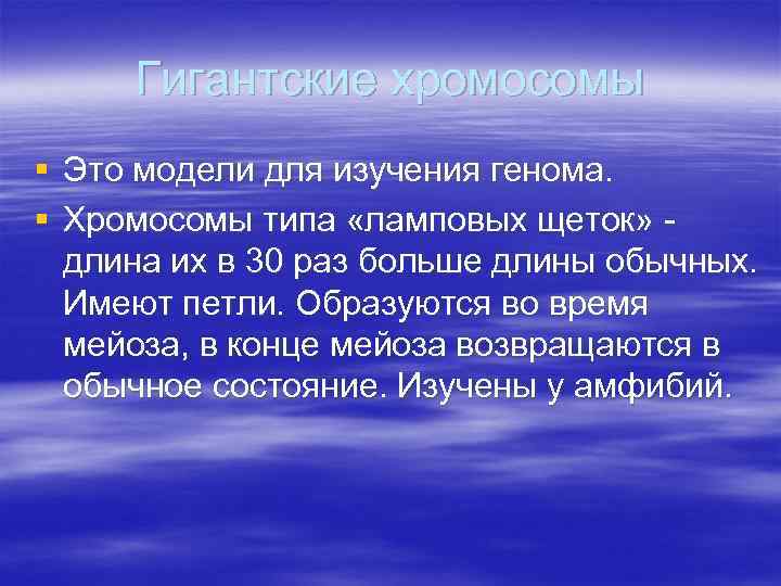Гигантские хромосомы § Это модели для изучения генома. § Хромосомы типа «ламповых щеток» длина