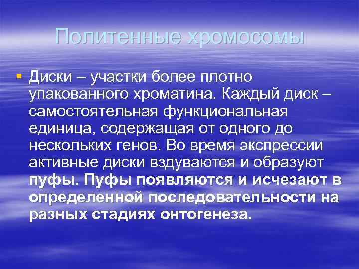 Политенные хромосомы § Диски – участки более плотно упакованного хроматина. Каждый диск – самостоятельная
