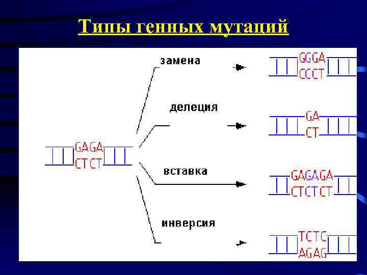 2n 1 как называется данная мутация. Виды генных мутаций. Типы генных мутаций мутаций. Механизмы возникновения генных мутаций. Молекулярные механизмы возникновения генных мутаций.