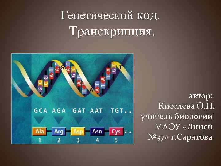 Генетический код. Транскрипция. автор: Киселева О. Н. учитель биологии МАОУ «Лицей № 37» г.