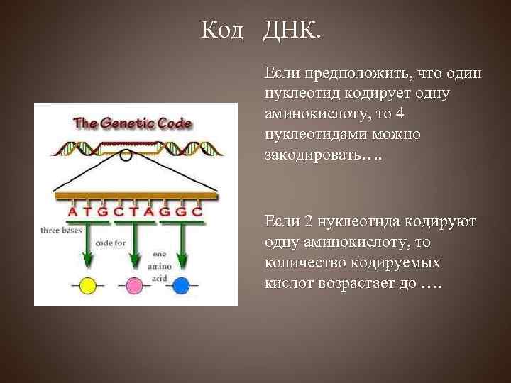 Код ДНК. Если предположить, что один нуклеотид кодирует одну аминокислоту, то 4 нуклеотидами можно