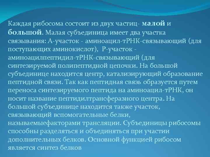 Каждая рибосома состоит из двух частиц- малой и большой. Малая субъединица имеет два участка